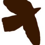 oiseau